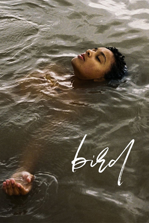 Bird (2024) [304491] (A1734927636) [[Movies]] --Plex--